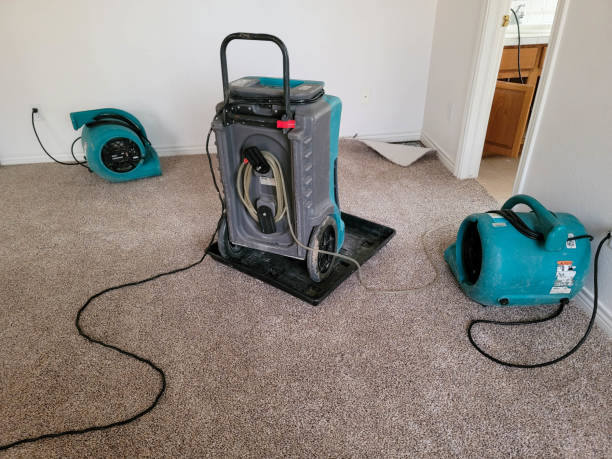Best Flood restoration services  in Fifth Ward, LA