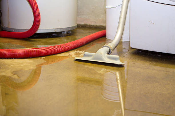 Best Mold removal after water damage  in Fifth Ward, LA