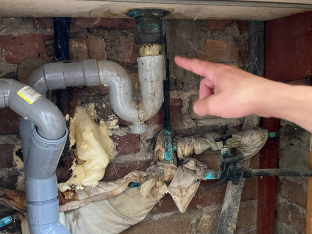 Best Basement water damage restoration  in Fifth Ward, LA